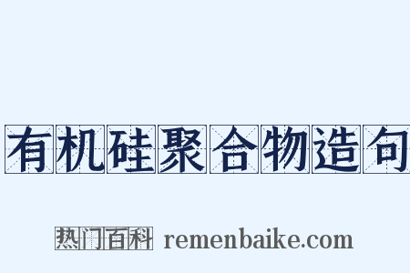 有机硅聚合物造句是什么意思的图片